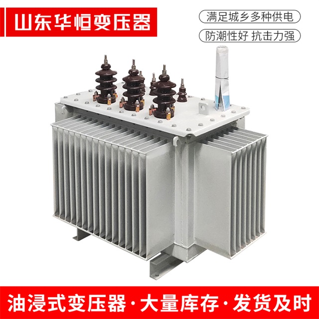S13-10000/35平乐平乐平乐油浸式变压器厂家